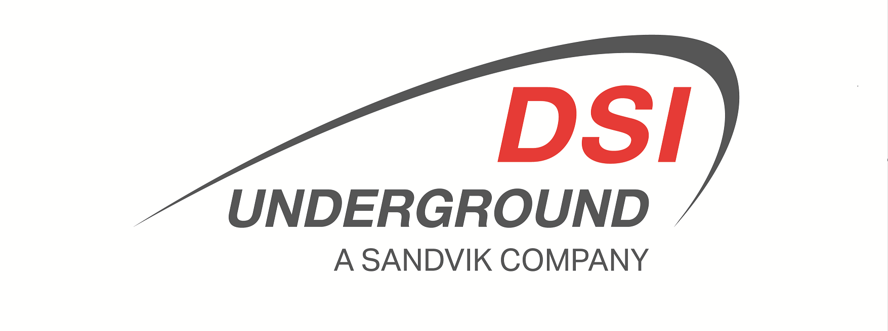 DSI Underground logo