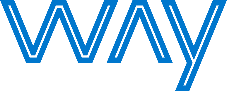 W.A.Y. S.r.L. logo