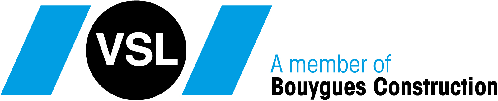 VSL International, Ltd. logo