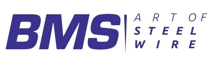 BMS Wire logo