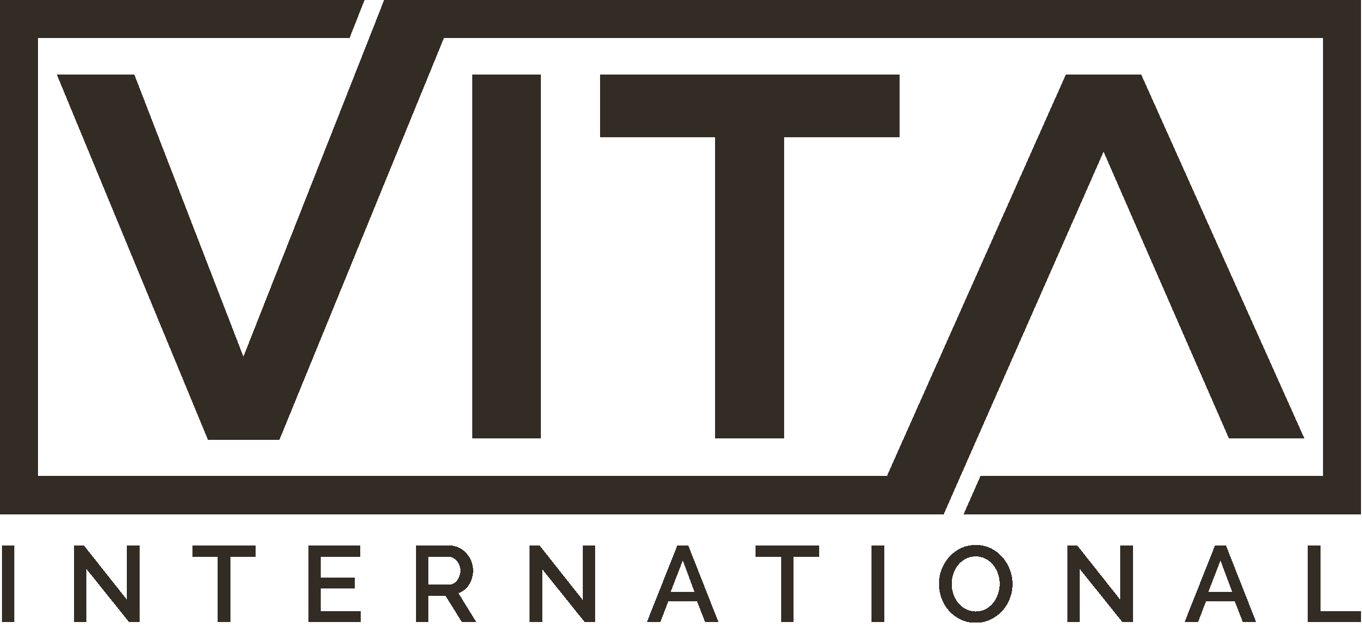 VITA INTERNATIONAL Srl logo