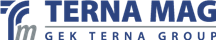 Terna Mag logo