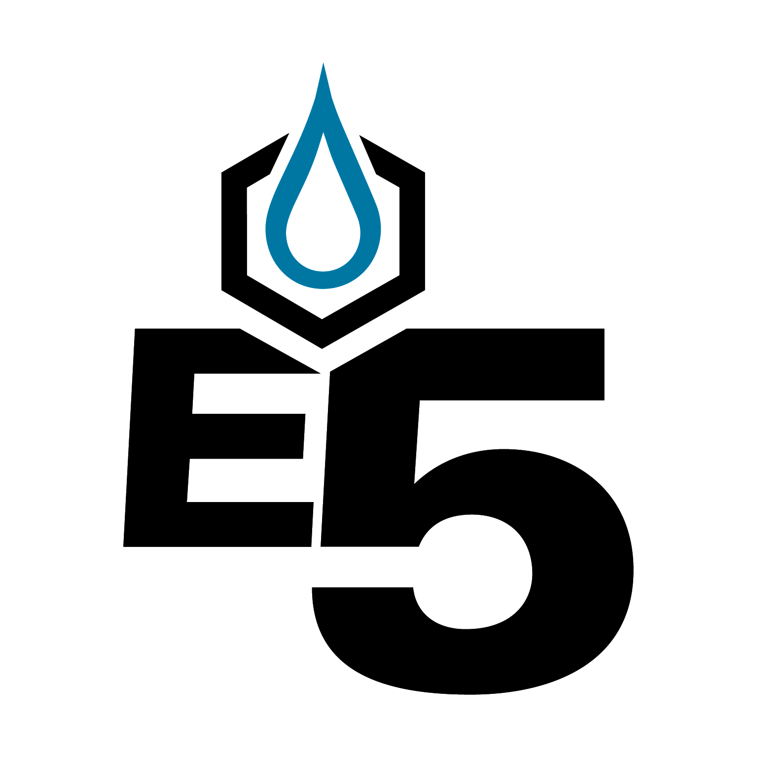 E5 Incorporated logo
