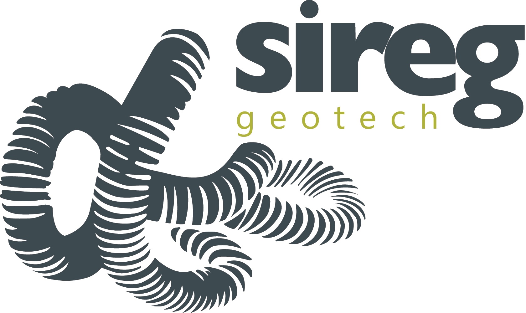 Sireg Geotech S.r.l. logo
