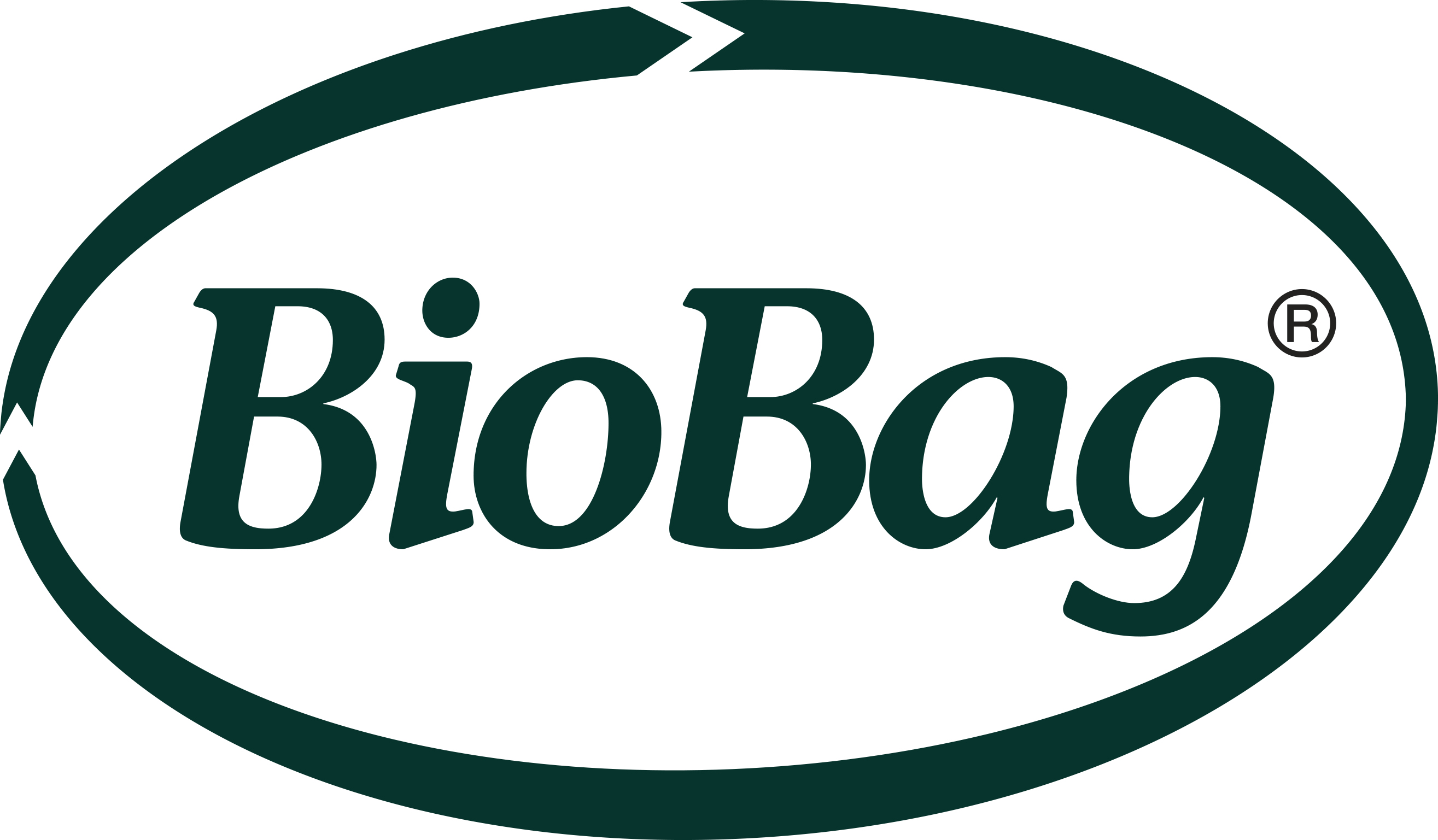 BioBag International AS logo
