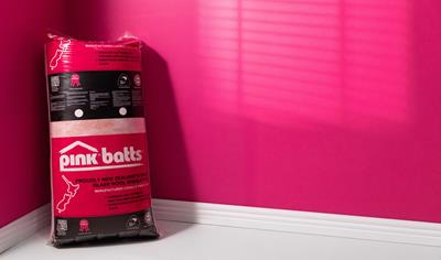 Cover image for Pink® Batts® Underfloor Insulation Products