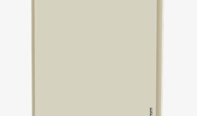 Cover image for Rigips® Clima Top  RF (DF) 10 mm