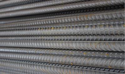 Cover image for Steel reinforcements products