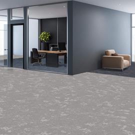 Cover image for dapple carpet tiles