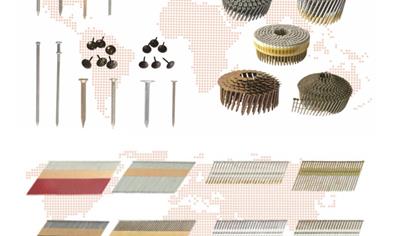 Cover image for Nails