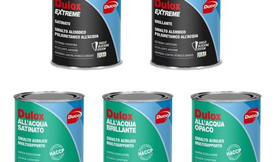 Cover image for Dulox Smalti all'acqua