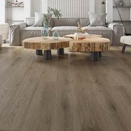 Cover image for Vinyl flooring - LVT flooring