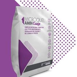 Cover image for Microquel Amin Cuaje