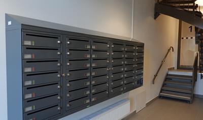 Cover image for Lynx