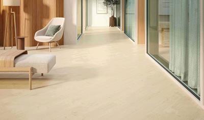 Cover image for Patcraft EcoWorx Resilient Dryback (EMEA)