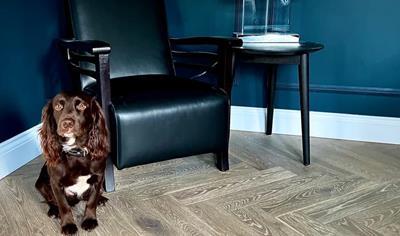 Cover image for Forestry Timber Holdings Limited - 22mm Engineered Hardwood Flooring