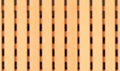 Cover image for ECOPHON Nexacustic