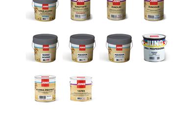 Cover image for Varnishes