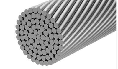 Cover image for Fune spiroidale