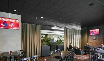 Cover image for Ecophon Sombra A