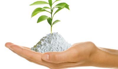 Cover image for Tecdrit (micronized)