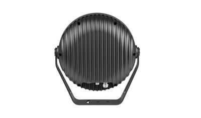 Cover image for Anolis Calumma™ M MC