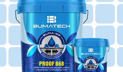 Cover image for PROOF 668 