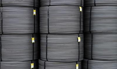 Cover image for Rebar