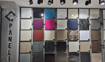 Cover image for Panelia