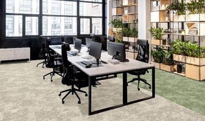 Cover image for rocklines carpet tiles