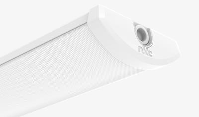 Cover image for Cornell