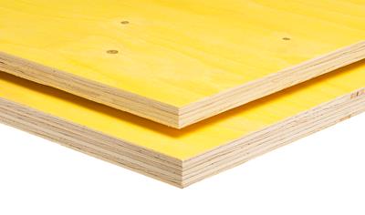 Cover image for WISA spruce plywood, treated