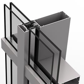 Cover image for Curtain Walls