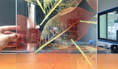 Cover image for Color-glazed glass