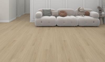 Cover image for ANHUI SENTAI TRADING CO.,LTD