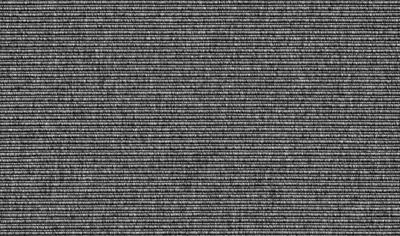 Cover image for Beta WT