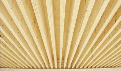 Cover image for Sylva (TM) LVL Rib by Stora Enso