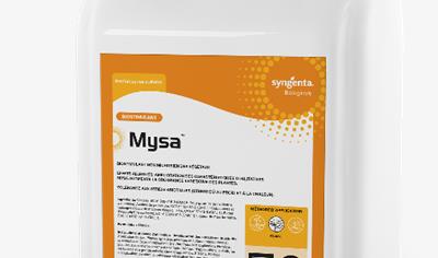 Cover image for MYSA
