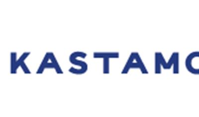 Cover image for Laminate Flooring 7-12mm