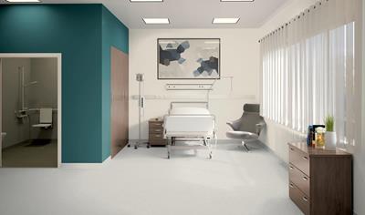 Cover image for Heterogeneous Wall covering - ProtectWall