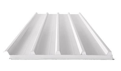Cover image for SANDWICH PANELS WITH STEEL SHEETS AND EXPANDED POLYSTYRENE (EPS) INSULATION CORE