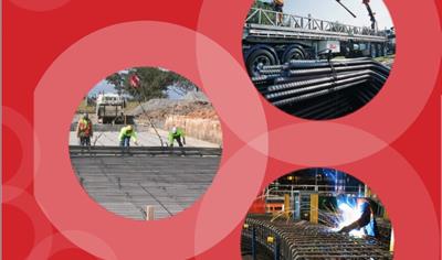 Cover image for Reinforcing Bar and Mesh