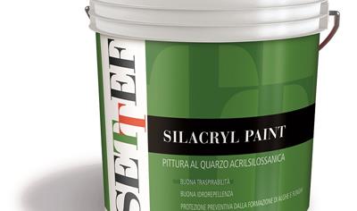 Cover image for Silacryl Paint