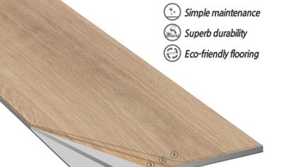 Cover image for Dry Back