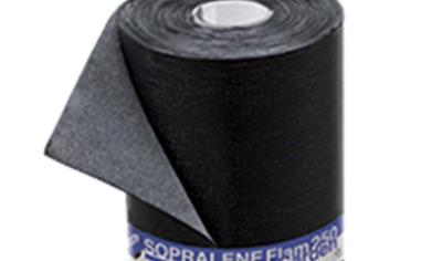 Cover image for SOPRALENE FLAM GARDEN 250 AF