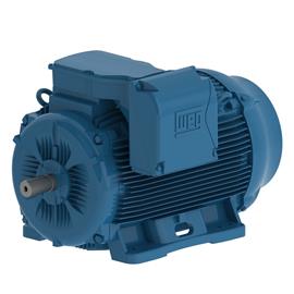 Cover image for W22 Cast Iron Electric Motor (37kW)