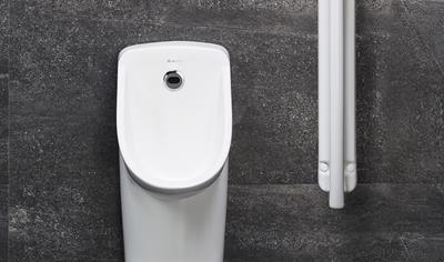 Cover image for Urinal