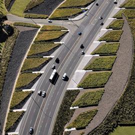 Cover image for Asphalt in New Zealand