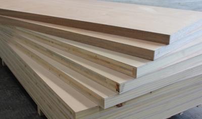 Cover image for FIRE DOOR BLANK （Jiangsu Sainty Bancom Wood Co., Ltd）