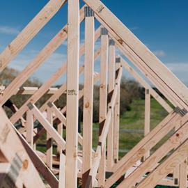 Cover image for Sawn and Planed Timber